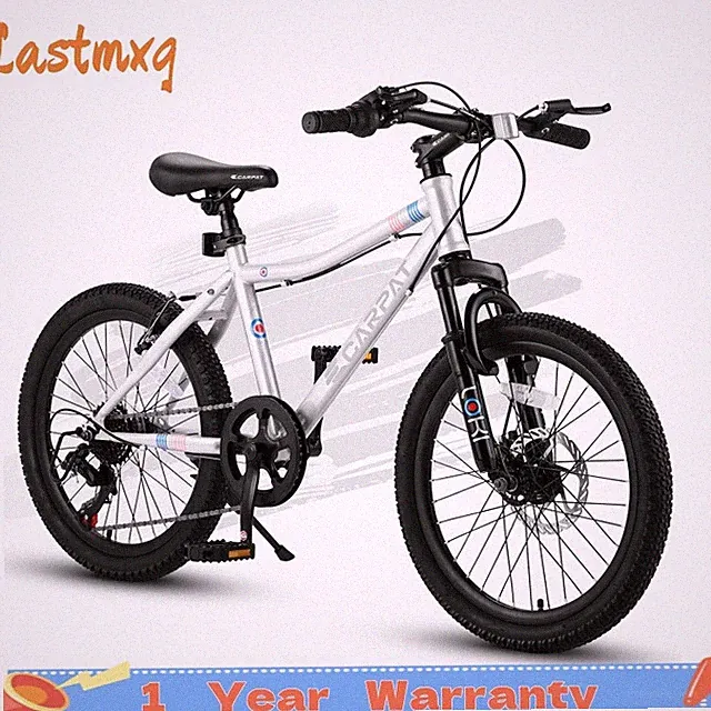 20" Kids Mountain Bike Teenager Children Bicycles 7 Speed V-Brake for Ages 8-12
