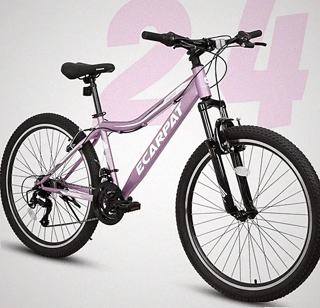 Ecarpat Gravel Bike