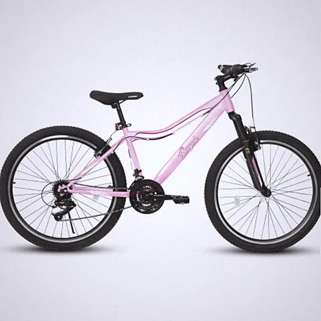 24in MTB, 21-Speed Carbon Steel, Front Suspension, Dual V-Brakes for Men/Women