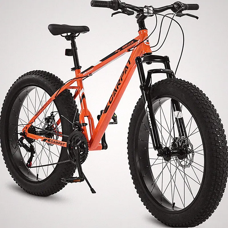 Ecarpat Fat Tire Bike