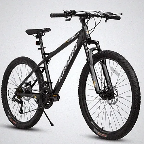 Ecarpat Fitness Bike