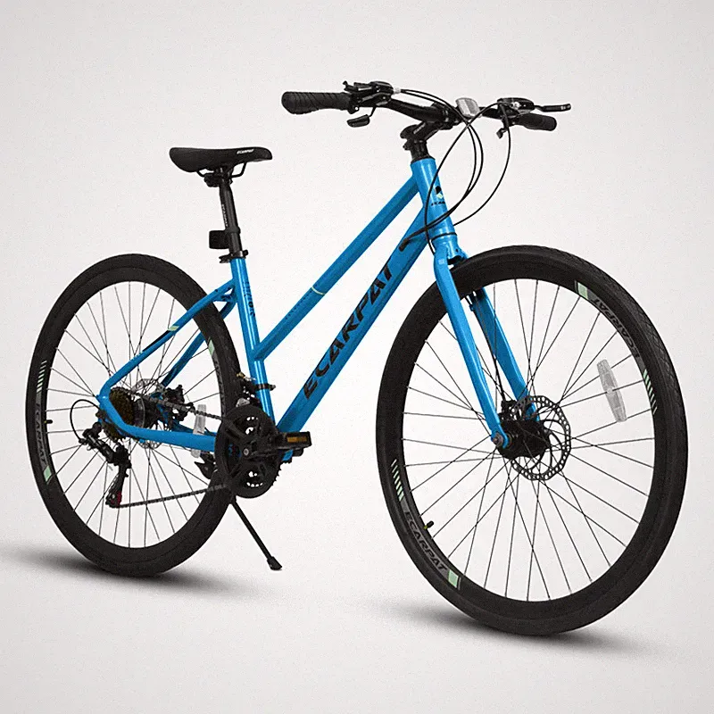 Ecarpat Hybrid Bike