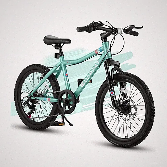 Ecarpat 20 Inch Kids' Bike Ages 6-12, 7-Speed Mountain Bike Gifts Bicycles fo...