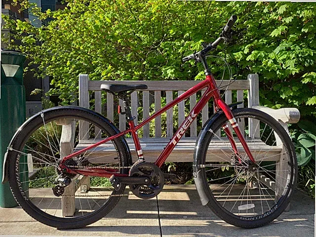 Hybrid bike
