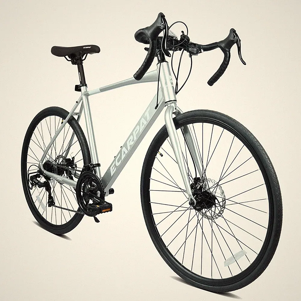 Ecarpat Commuter Bike